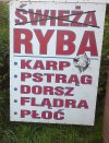 Reklama hurtowni ryb