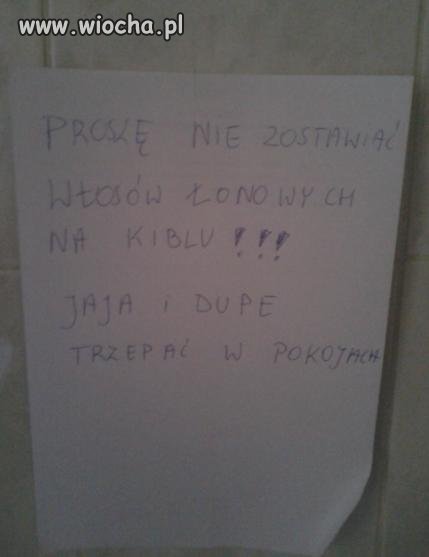 Twórczość ludzka 