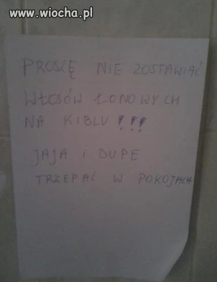 Twórczość ludzka 