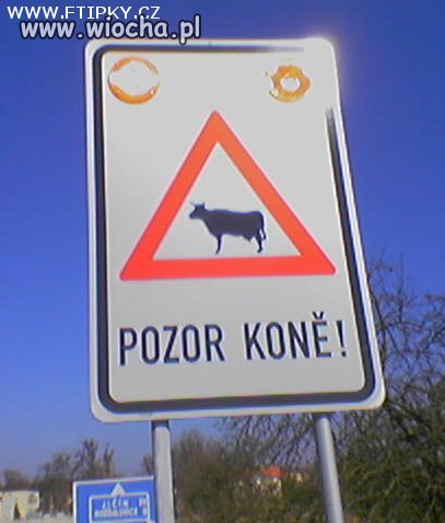 Napis: "UWAGA KONIE" 