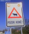 Napis: "UWAGA KONIE" 