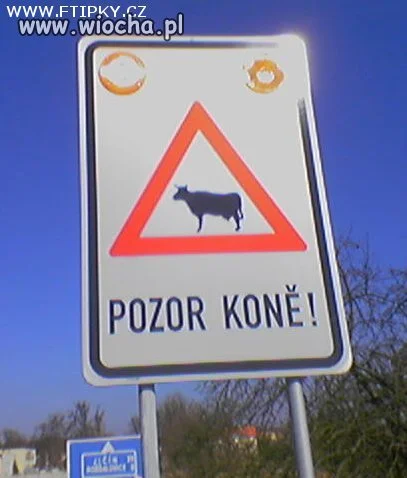 Napis: "UWAGA KONIE" 