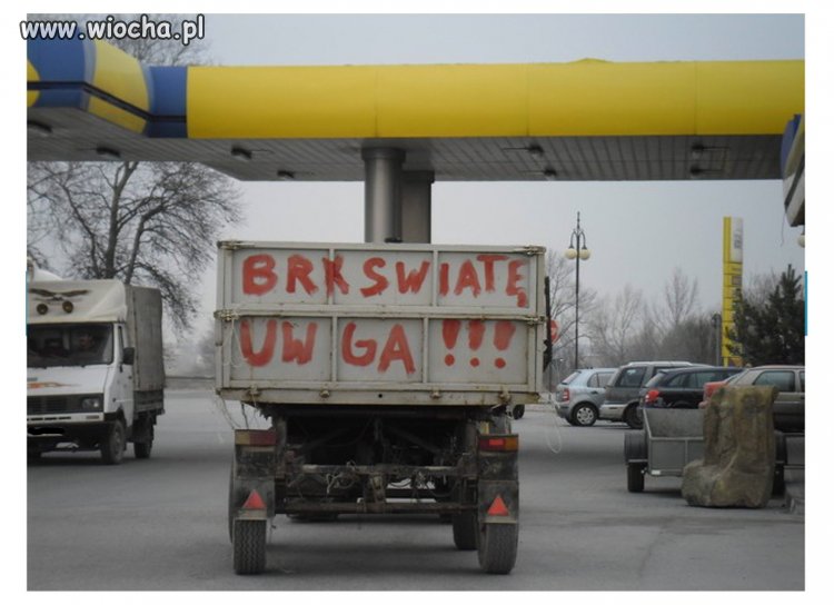"Miszcz" ortografii kontraktakuje