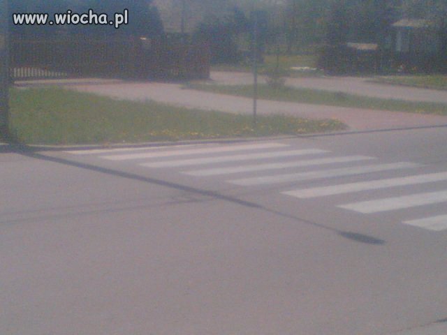 I weź tu szanuj zieleń