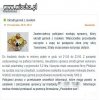 A do czego Ty jesteś