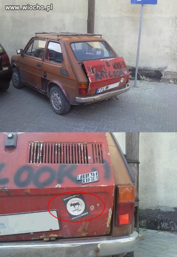 Włoszczowski rat-look