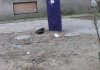 Nowa usługa TP - TelePortacja  