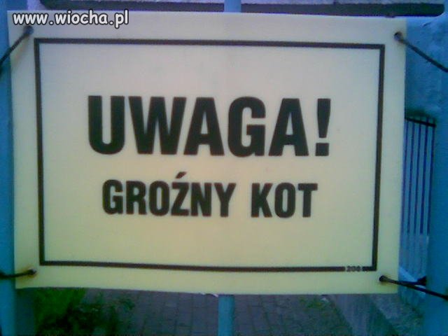 Tak naprawde