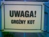 Tak naprawde