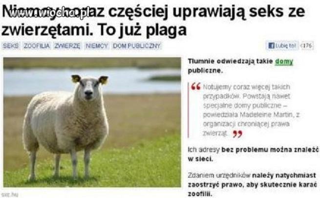 Teraz już wiadomo dlaczego jest tam taki niski