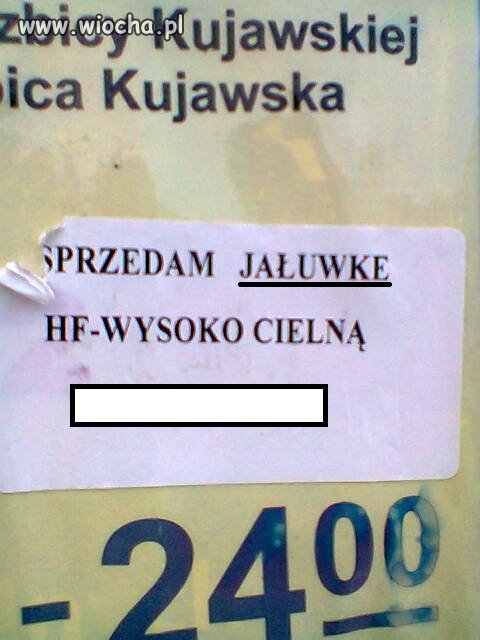 Słownik