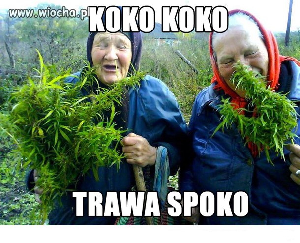 Koko koko