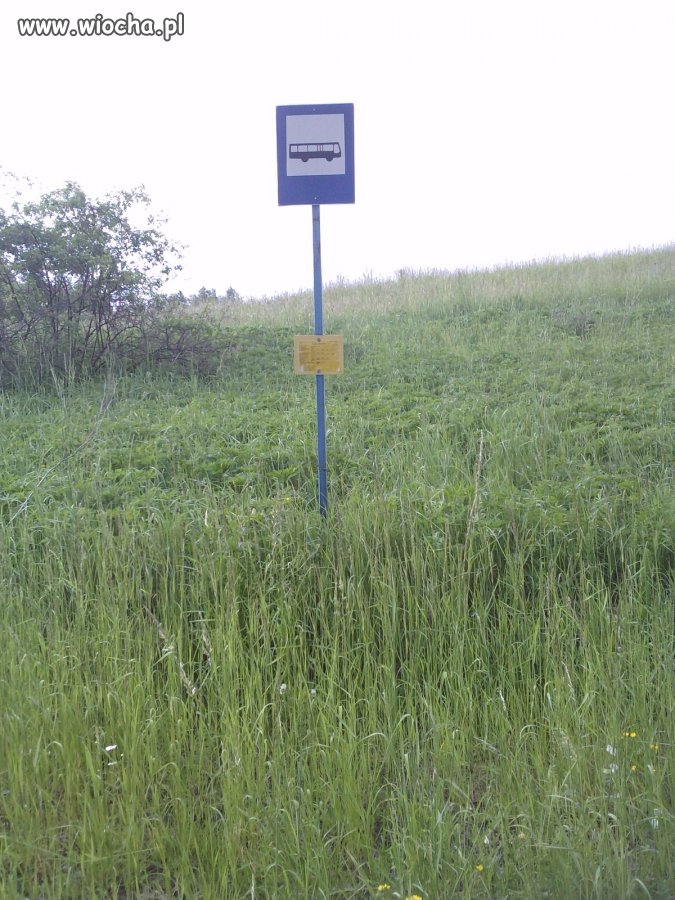 Przystanek...