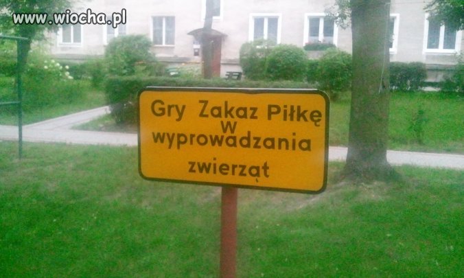 Język polska nie być trudna!!