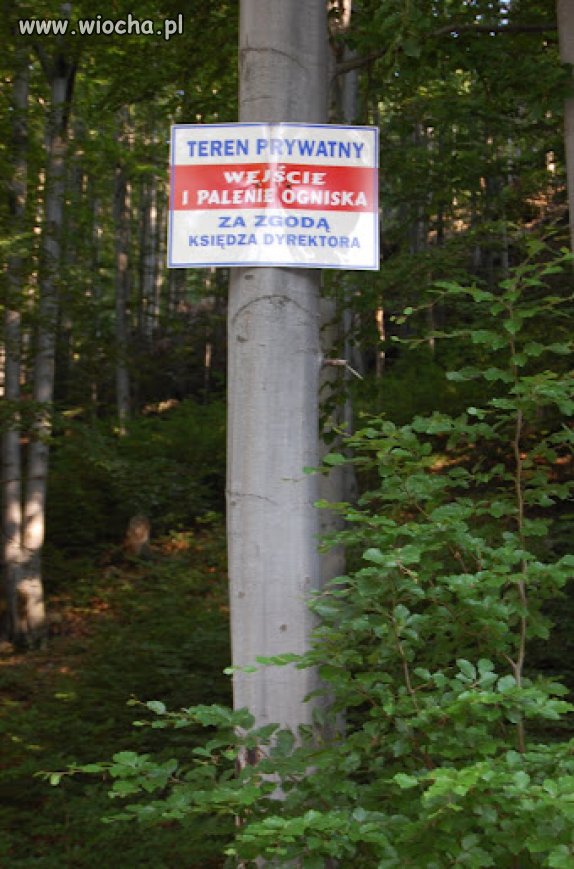 Ksiądz Dyrektor