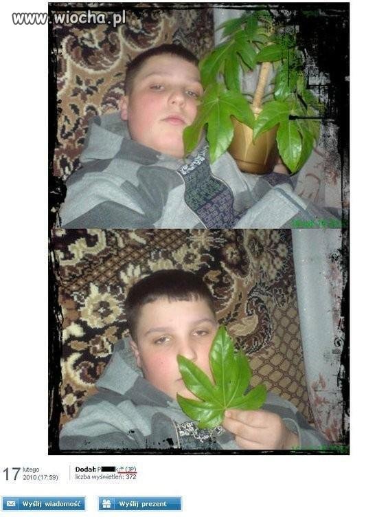 Się jara