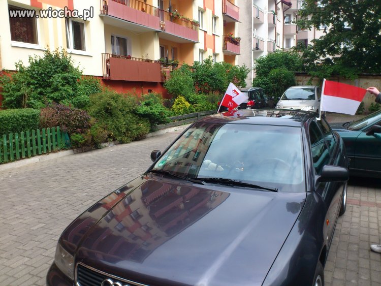 Kibic Polski?