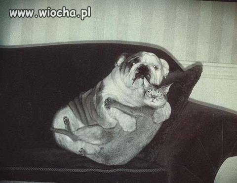 Przyłapani...