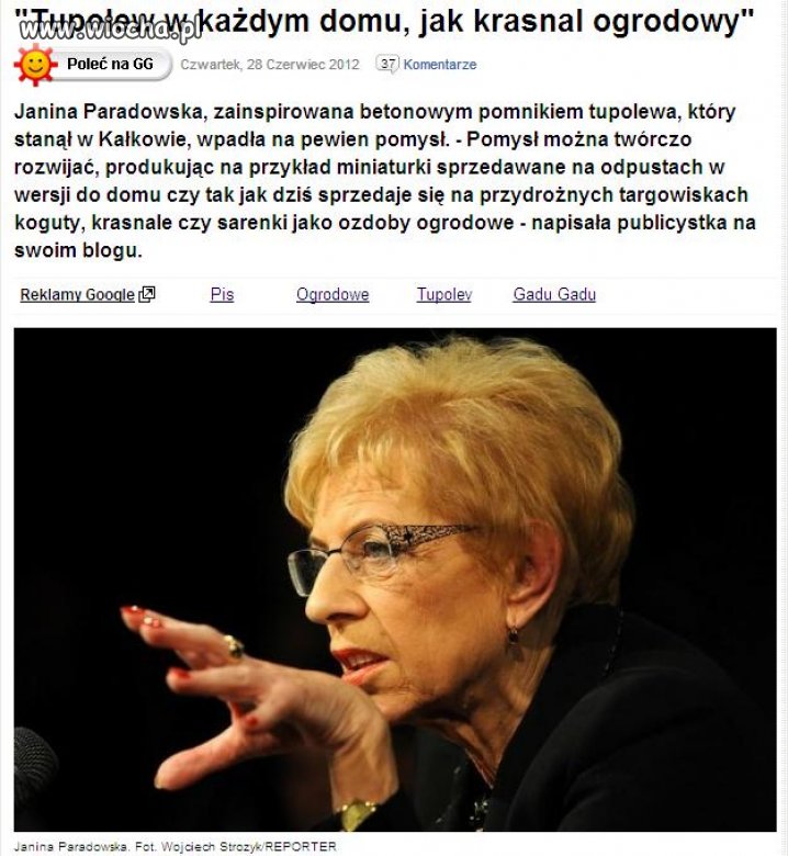 Tupolew zamiast krasnala w ogrodzie 