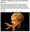 Tupolew zamiast krasnala w ogrodzie 