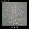 PŁYTECZKI