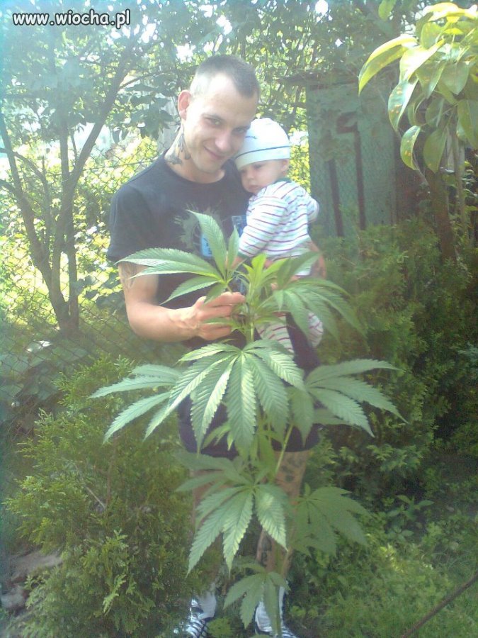 Ja i moja plantacja 