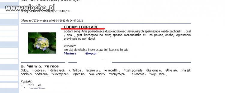 Żonę oddam i dopłace