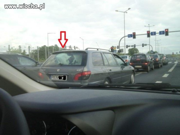 Można?