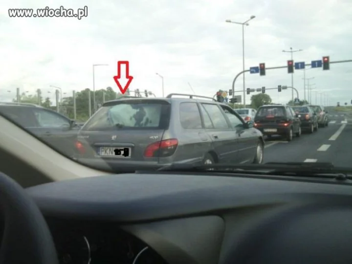 Można?