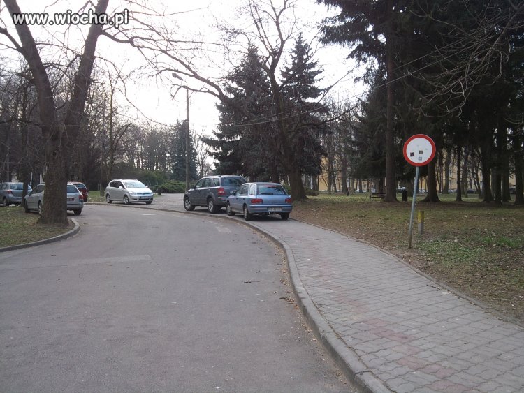 Kultura polskich kierowców... park, zakaz i chodnik.