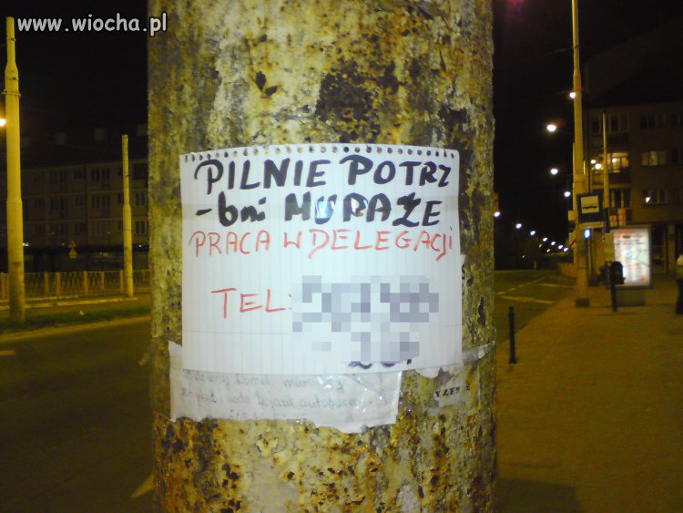 Potrzebni "muraże"