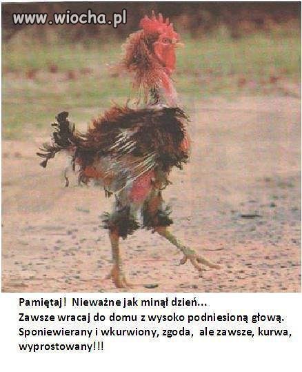 Nie ważne skąd
