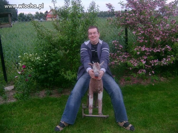 Co to jest?... lans na konia na biegunach? 