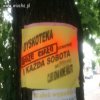 Dyskoteka