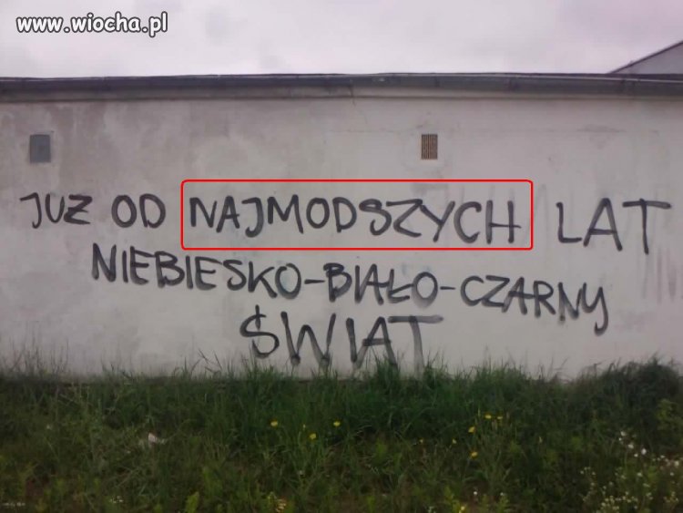 Najmodszy fanatycy zAWISZY