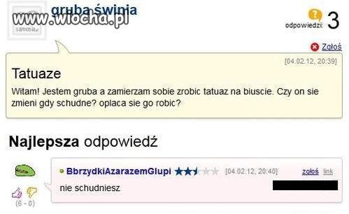 Gruba świnia
