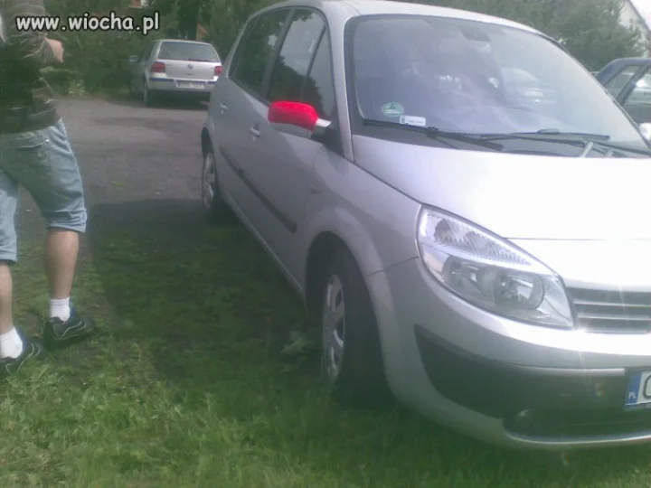Polski kibic 