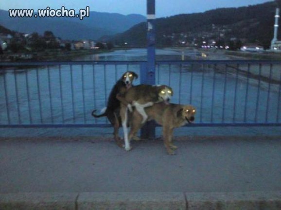 Wieczorny widok