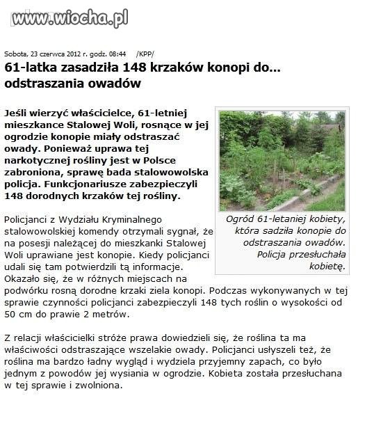 Krzaki konopii do...odstraszania owadów !!