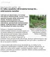 Krzaki konopii do...odstraszania owadów !!