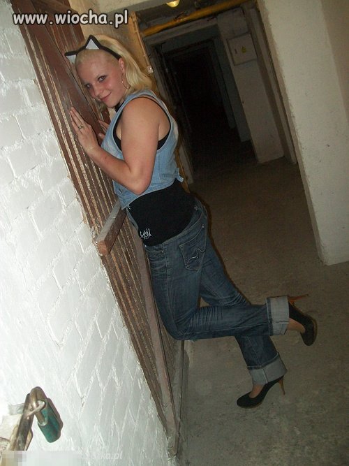 Niczym kot