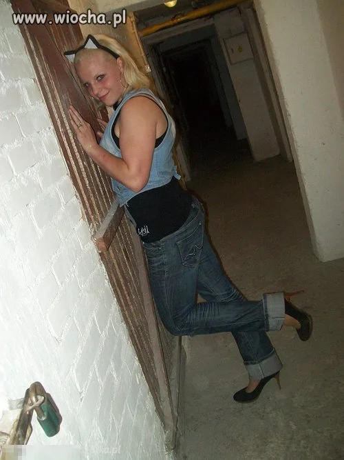 Niczym kot
