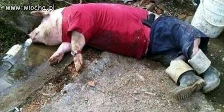Na wiosce wesoło bawią się chłopaki