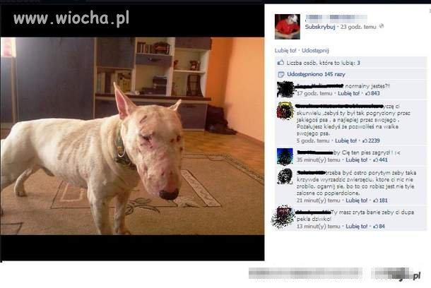 Psychol jeszcze się tym chwali!!!