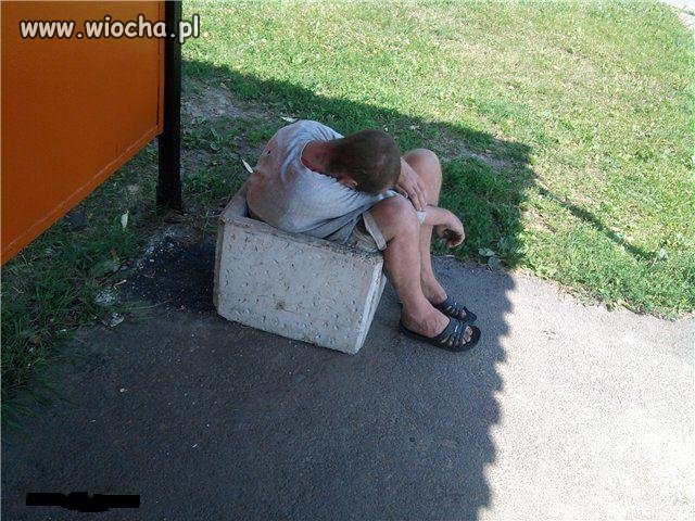 Betonowy żółwik