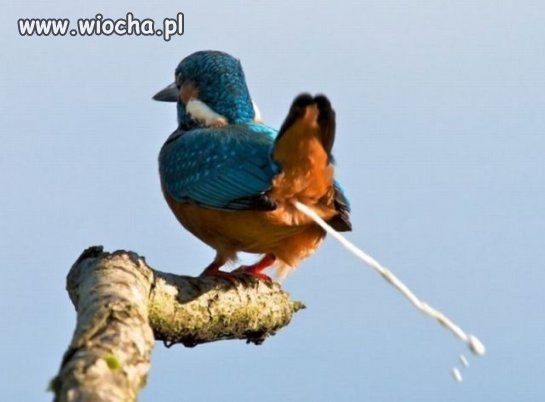 Piękne ujęcie!