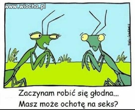Absurdzik na dobranoc