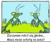 Absurdzik na dobranoc