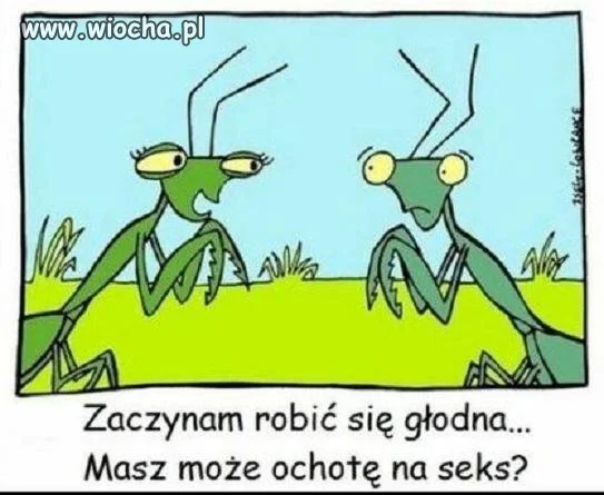 Absurdzik na dobranoc