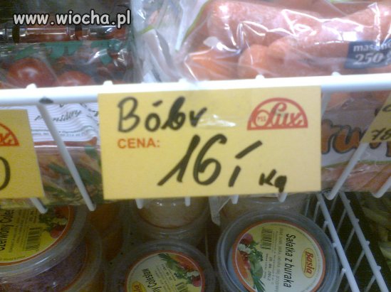 I ty możesz mieć dziś bobra 